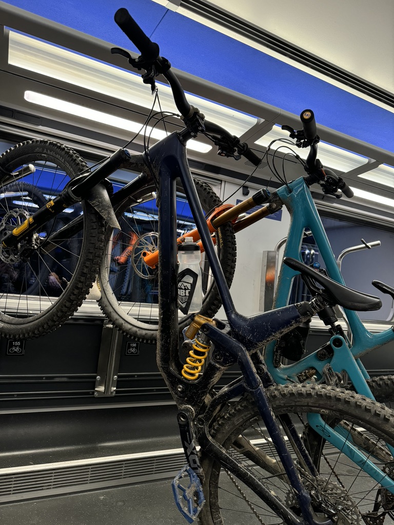 Klimatyczna trasa MTB – singletracki w Czechach